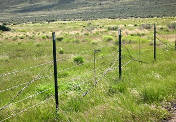 Open lands and Plots